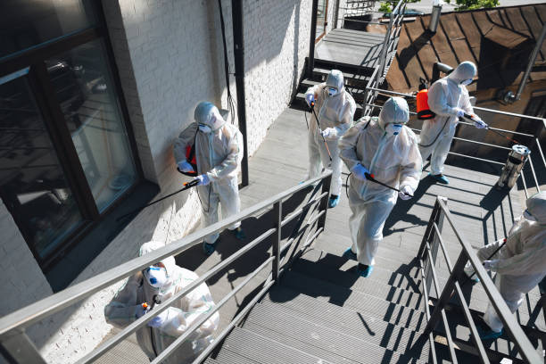 Best Attic Mold Removal  in South Sumter, SC