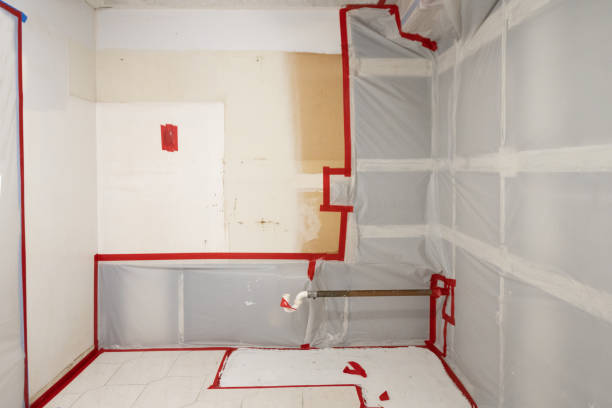  South Sumter, SC Mold Removal Pros
