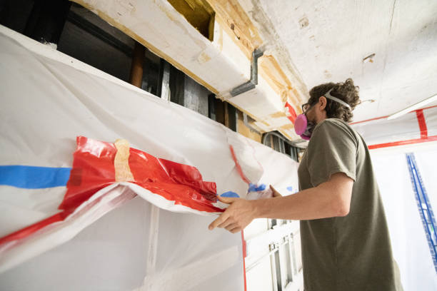Best Mold Damage Restoration  in South Sumter, SC